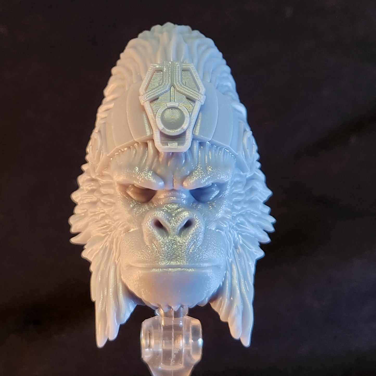 Telepathic Gorilla