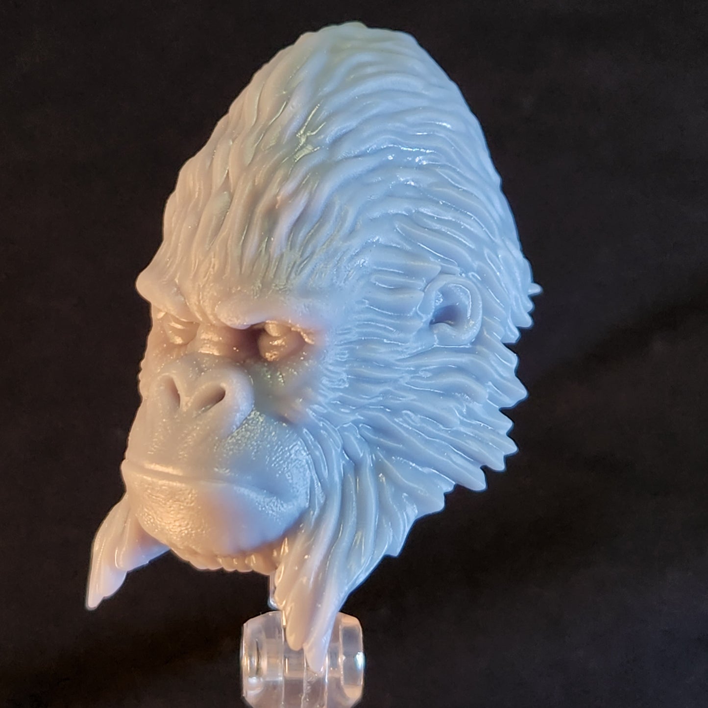 Telepathic Gorilla